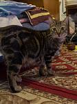     
: IMG_1298.jpg
: 30
:	98.5 
ID:	9127932