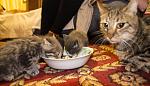     
: IMG_1311.jpg
: 32
:	111.4 
ID:	9127933