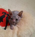    
: 2014-12-07 22.53.39.jpg
: 12
:	93.1 
ID:	9134884