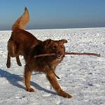     
: 20140205_142351.jpg
: 19
:	116.1 
ID:	9134997