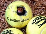     
: image.jpg
: 226
:	78.6 
ID:	9140940