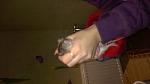     
: WP_20141210_003.jpg
: 11
:	37.6 
ID:	9149562