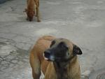    
: DSC04085.JPG
: 78
:	21.0 
ID:	9152283
