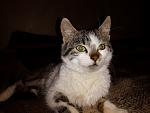    
: 20141213_153145.jpg
: 9
:	92.6 
ID:	9160976