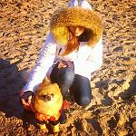     
: 14 дек 2014 море.jpg
: 14
:	181.3 
ID:	9164777