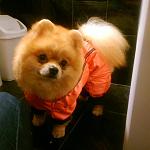     
: 14 дек 2014.jpg
: 15
:	73.1 
ID:	9164778