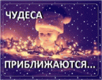     
: 567c61afc13b.gif
: 36
:	36.3 
ID:	9170423