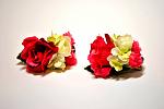     
: DSC_0973.jpg
: 56
:	66.2 
ID:	9171299