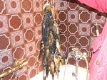     
: DSCN3793.jpg
: 20
:	191.6 
ID:	9171914