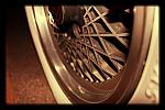     
: holla_user_476391175.JPG
: 146
:	265.3 
ID:	9174418