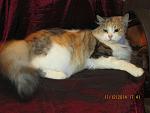     
: y6V_pP_e_iE.jpg
: 23
:	178.7 
ID:	9178562