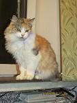     
: Qi4XSA4v-KY.jpg
: 17
:	140.3 
ID:	9178576