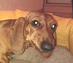     
: attach-635544487041060000.jpg
: 13
:	137.2 
ID:	9178842