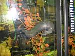     
: IMG_0098.jpg
: 72
:	132.0 
ID:	918228