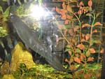     
: IMG_0101.jpg
: 72
:	145.4 
ID:	918243