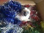     
: IMG_1343.jpg
: 9
:	249.6 
ID:	9184063