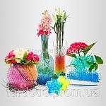     
: 84482568_w640_h640_24.jpg
: 10
:	23.3 
ID:	9193966