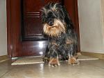     
: image.jpg
: 4
:	216.8 
ID:	9199182