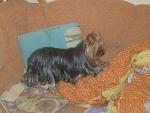     
: DSCN2353.jpg
: 24
:	132.2 
ID:	9199514