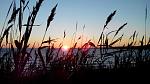     
: IMG_20141213_160942.jpg
: 7
:	105.5 
ID:	9201314