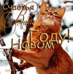     
: 6fe578e946a2a510497471c412d287fe.jpg
: 10
:	71.5 
ID:	9203497