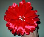     
: DSCN5970.jpg
: 7
:	122.2 
ID:	9203770
