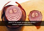     
: 0_f12ab_7bff64e6_orig - копия - копи&#1103.jpg
: 4
:	118.7 
ID:	9204186