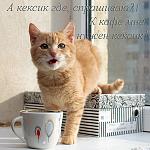     
: DSC_0502-1.jpg
: 2
:	51.2 
ID:	9205060