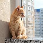    
: DSC_0500.jpg
: 2
:	61.7 
ID:	9205061