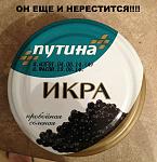     
: икра.jpg
: 16
:	134.2 
ID:	9208028