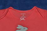     
: DSC_1417.jpg
: 51
:	100.2 
ID:	9208330