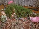    
: IMG_20141224_201835_0.jpg
: 22
:	89.5 
ID:	9209099