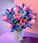     
: image.jpg
: 15
:	42.5 
ID:	9209806