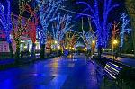     
: image-ec62d7ac3c5098311a0c3bbe2fc6da2fe44ce5bc17f4df71777da725e82582e5-V.jpg
: 36
:	221.4 
ID:	9211328