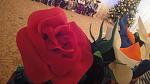     
: DSC00536.jpg
: 12
:	100.9 
ID:	9213415