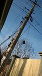     
: WP_20141219_001.jpg
: 42
:	96.7 
ID:	9213641