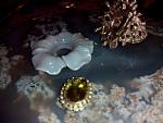     
: IMG_20141019_093601.jpg
: 94
:	92.1 
ID:	9214688