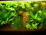     
: Изображение 047.jpg
: 19
:	222.6 
ID:	9216106