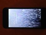     
: IMG_0368.jpg
: 75
:	119.1 
ID:	9217428