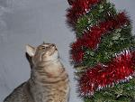     
: DSC03107.jpg
: 26
:	190.5 
ID:	9218357