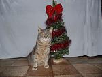     
: DSC03119.jpg
: 21
:	124.4 
ID:	9218358