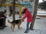     
: DSCN3260.jpg
: 36
:	131.5 
ID:	9220430
