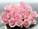     
: 1255771494_13-flowers_03.jpg
: 11
:	29.0 
ID:	9221008