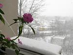     
: IMG_1193.jpg
: 8
:	97.3 
ID:	9221623