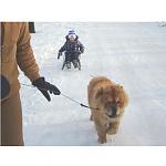    
: stUu99JCD-E.jpg
: 12
:	58.7 
ID:	9222335