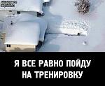     
: image.jpg
: 98
:	52.6 
ID:	9223057