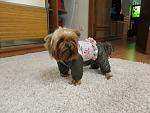     
: IMG_2317.jpg
: 15
:	130.7 
ID:	9223058