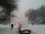     
: ImageUploadedByTapatalk1419886928.000220.jpg
: 80
:	258.2 
ID:	9223334