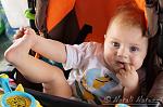     
: DSC00114.jpg
: 39
:	100.8 
ID:	9223461