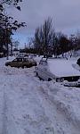    
: IMAG1286.jpg
: 60
:	87.4 
ID:	9224065